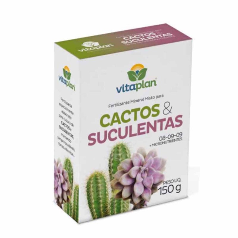 cactos e suculentas
