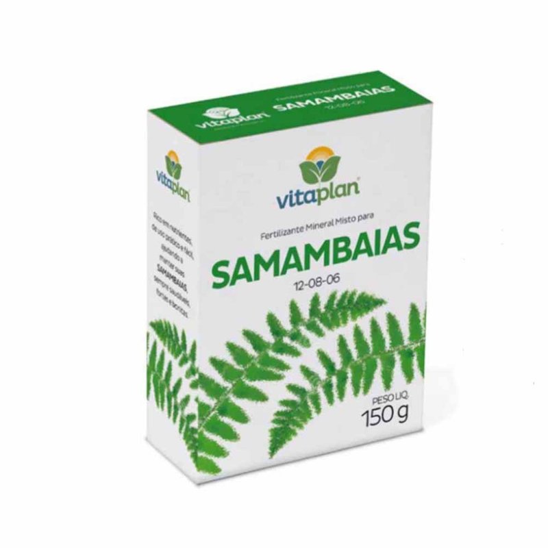samambaia