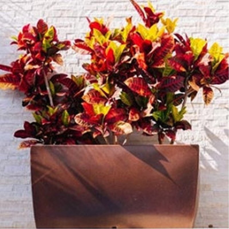 jardineira classic ferrugem 80 2