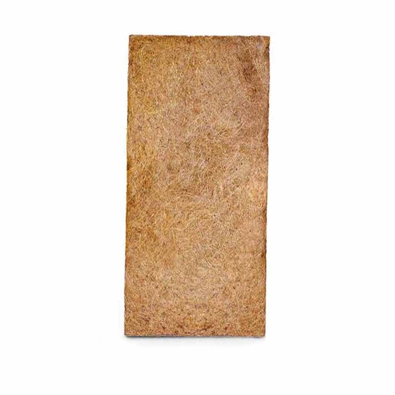 placa nutricoco n40