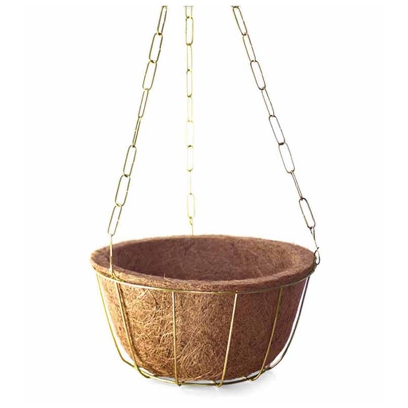 kit cuia nutricoco gigante