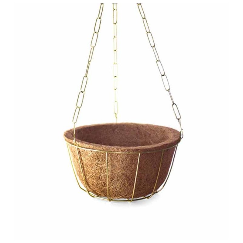 kit cuia nutricoco grande