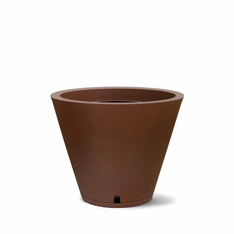 petra cone ferrugem 30