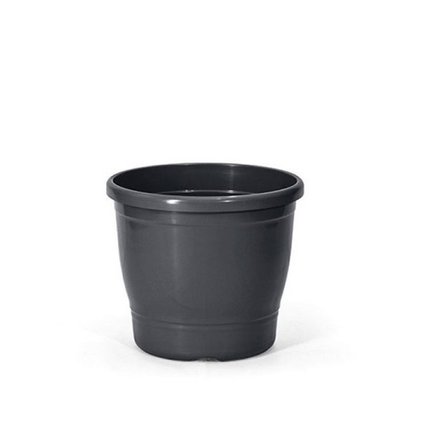 primavera 2 preto