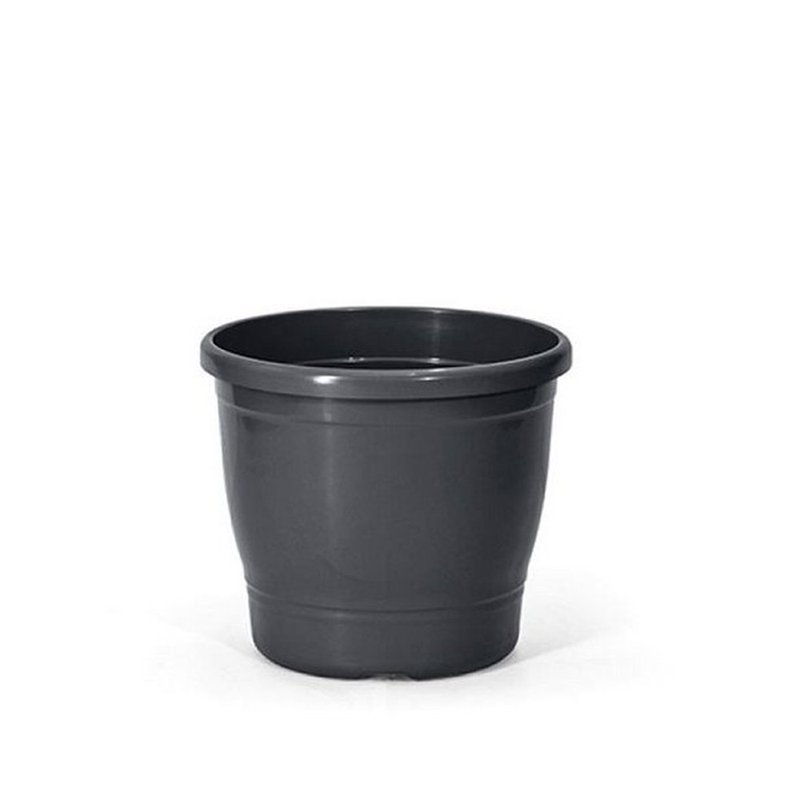 primavera 2 preto