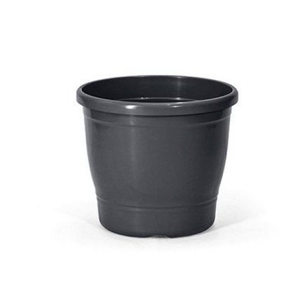 primavera 3 preto