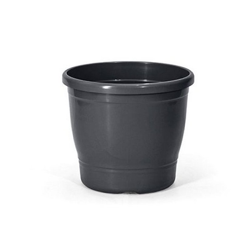primavera 3 preto