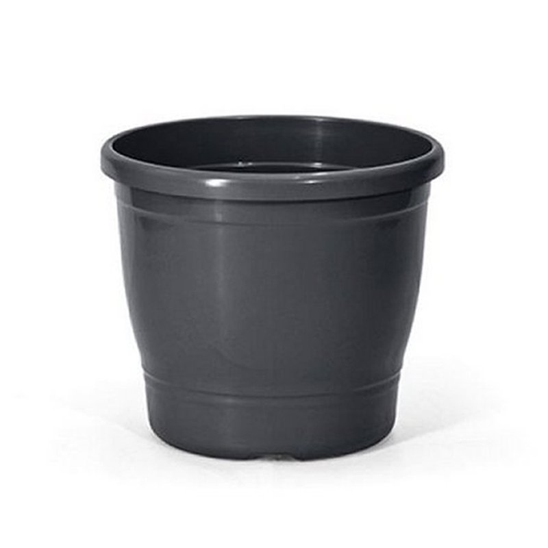 primavera 4 preto