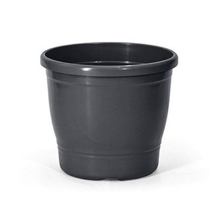 primavera 5 preto