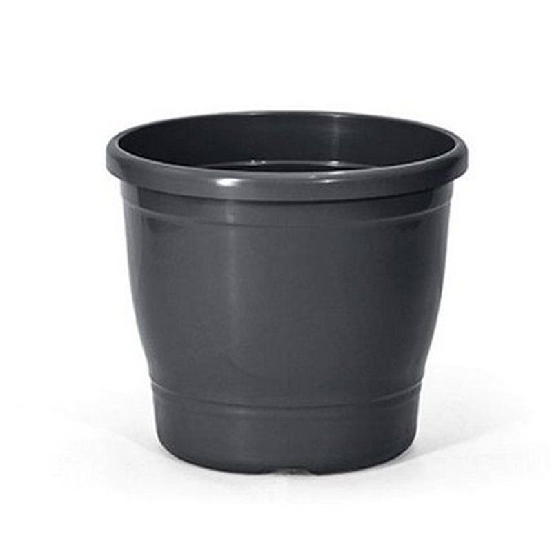 primavera 5 preto