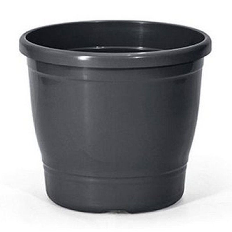 primavera 8 preto