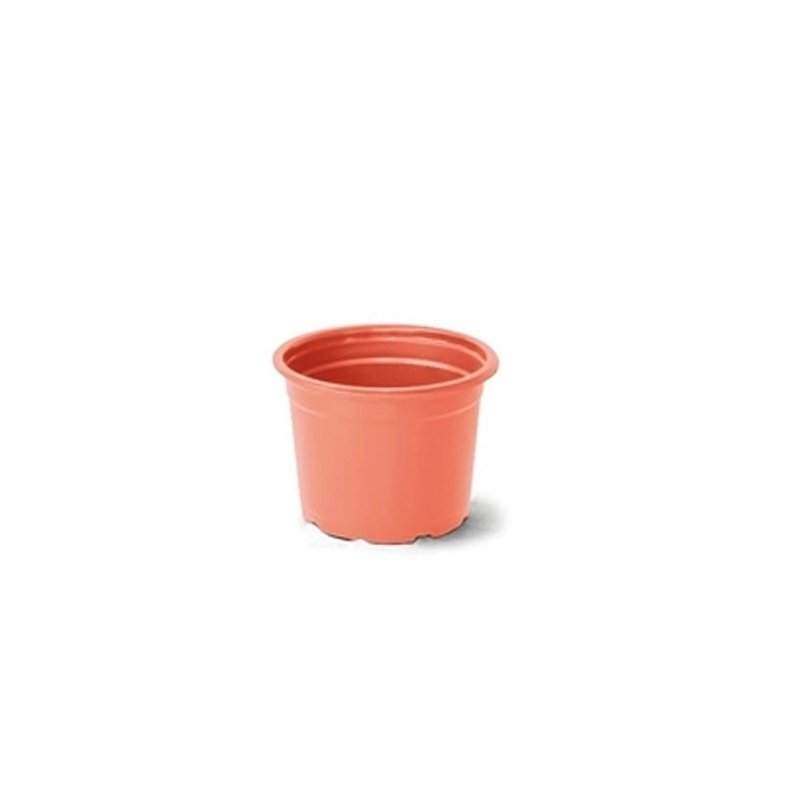comum 1 ceramica