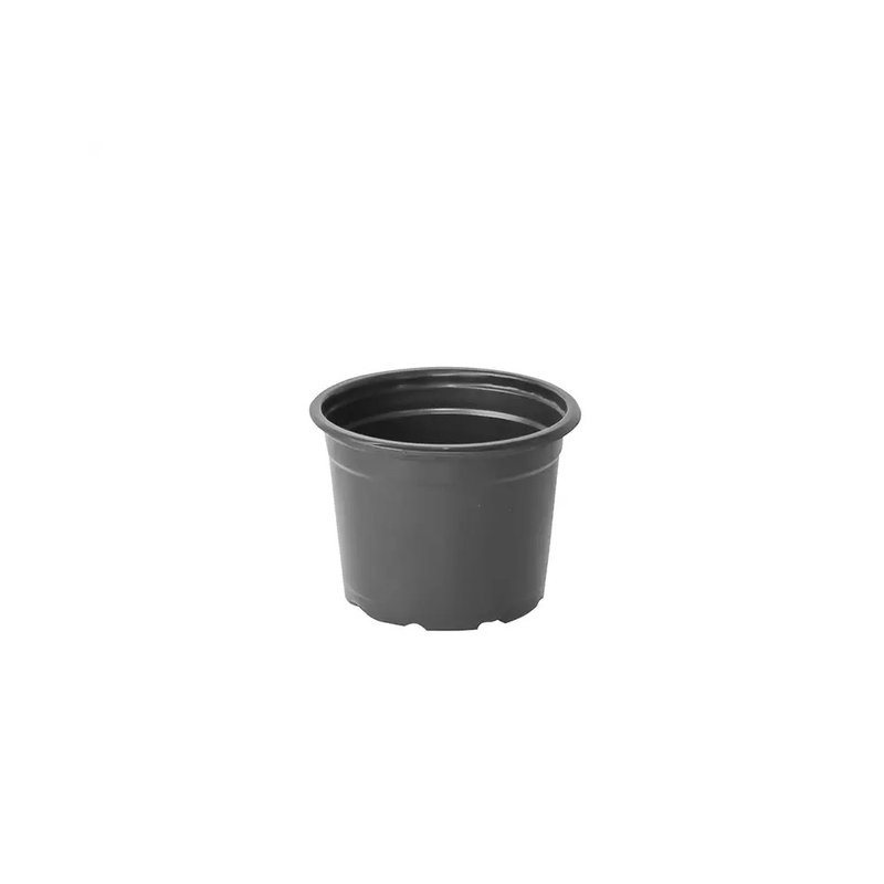 comum 1 preto
