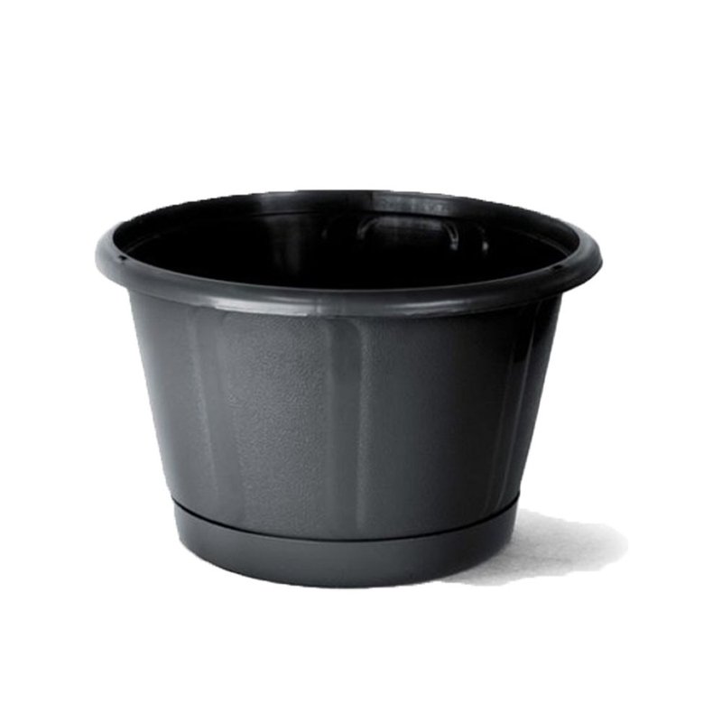 cuia nobre c prato n2 preto