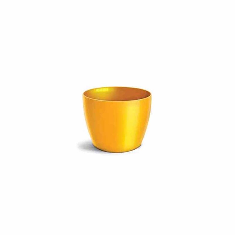 n2 elegance amarelo