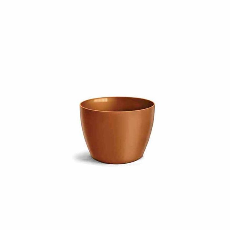 n2 elegance dourado