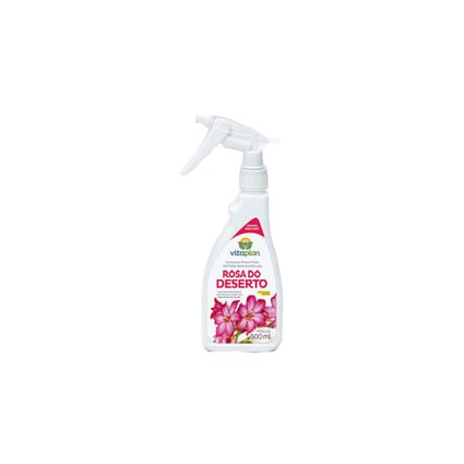 rosa do deserto 500ml
