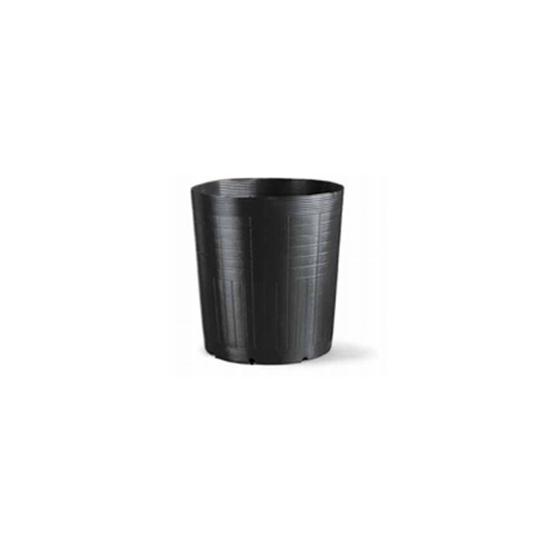 5 5l sem alca
