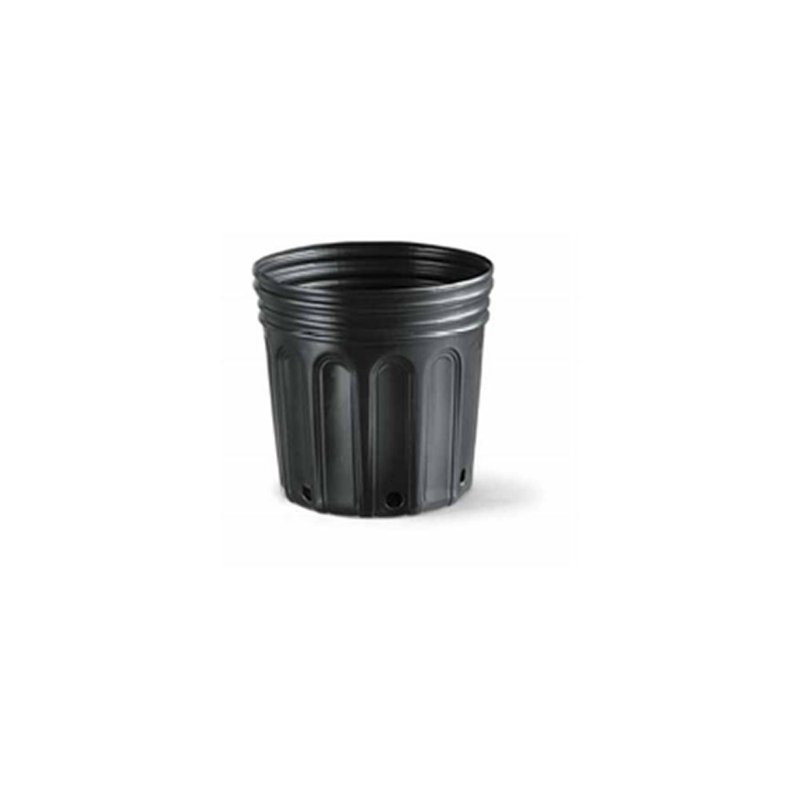 8 0l sem alca