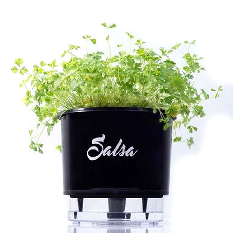 vaso auto irrigavel linha gourmet salsa n03 medio 16x14