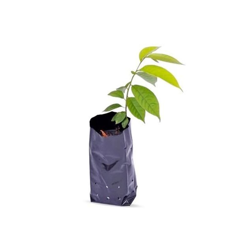 saco plastico preto para mudas 8 x 14 x 0 10 1kg 890 unidades