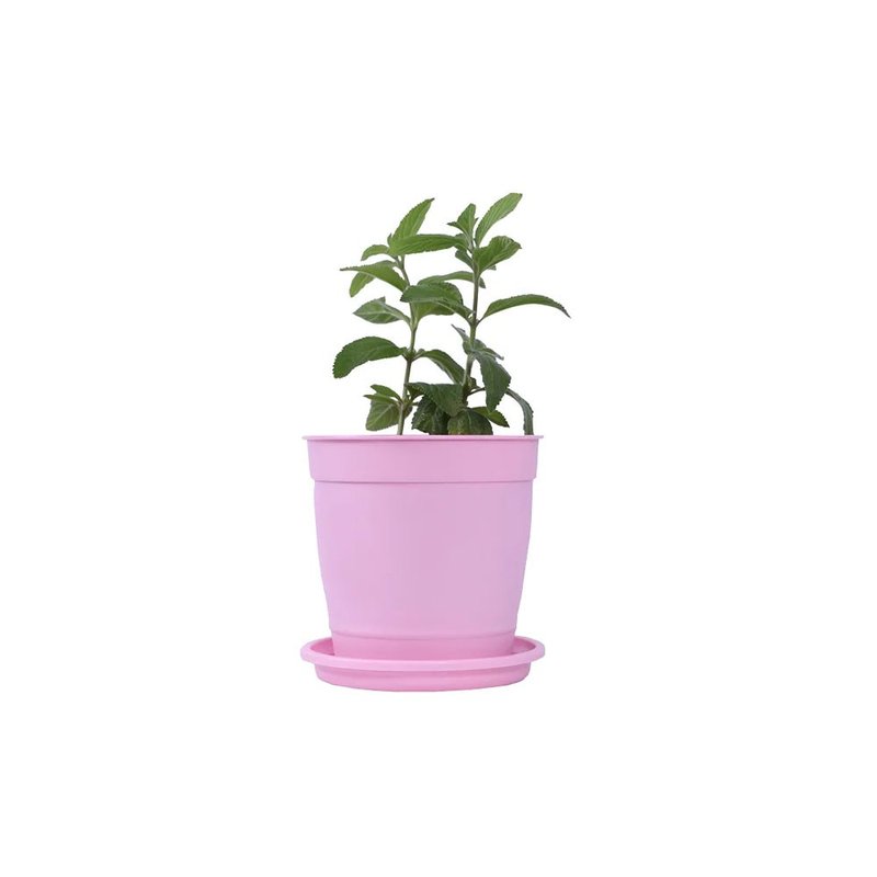 auarela rosa 1