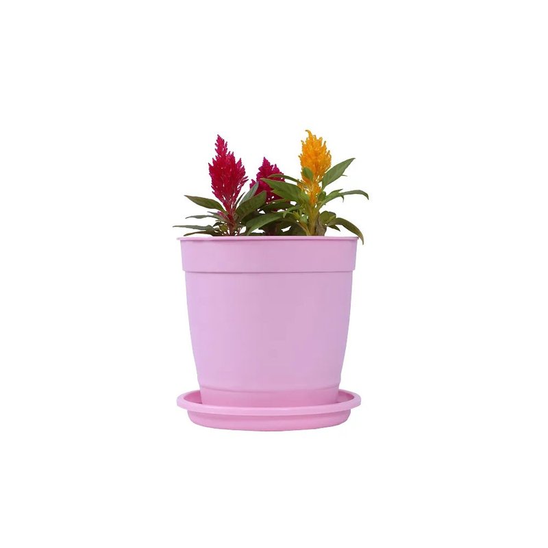 auarela rosa