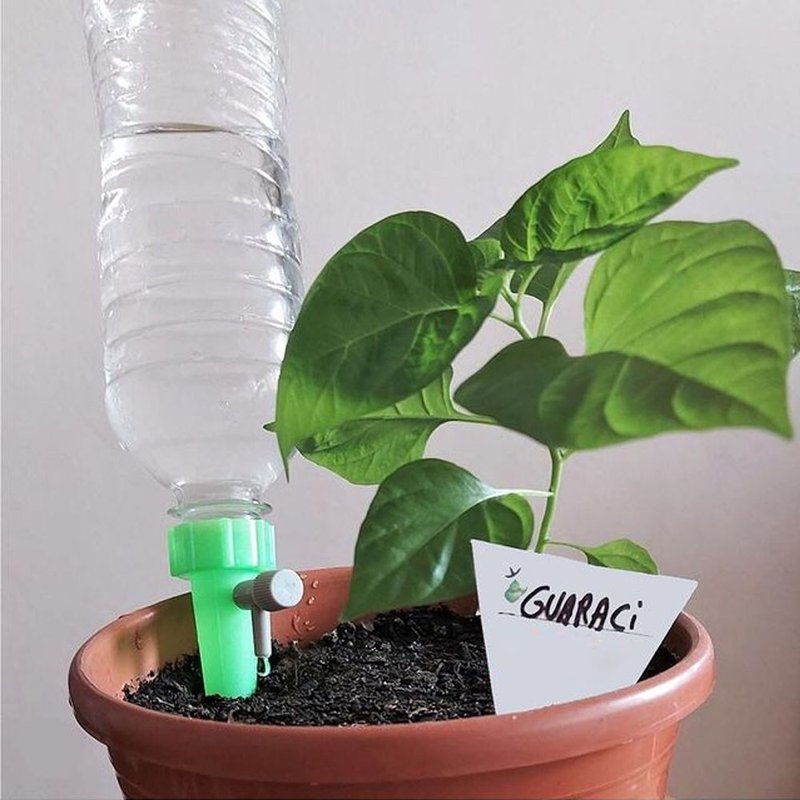 gotejador rega facil auto irrigavel bom cultivo