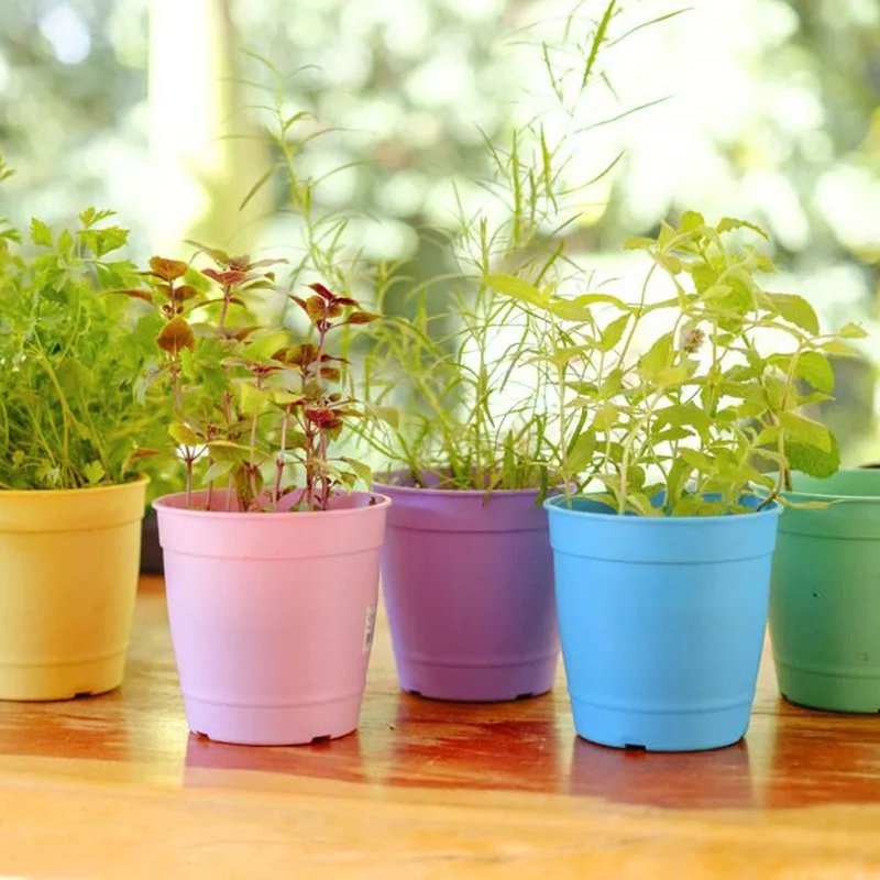 vaso aquarela vasos para plantar temperos bomcultivo