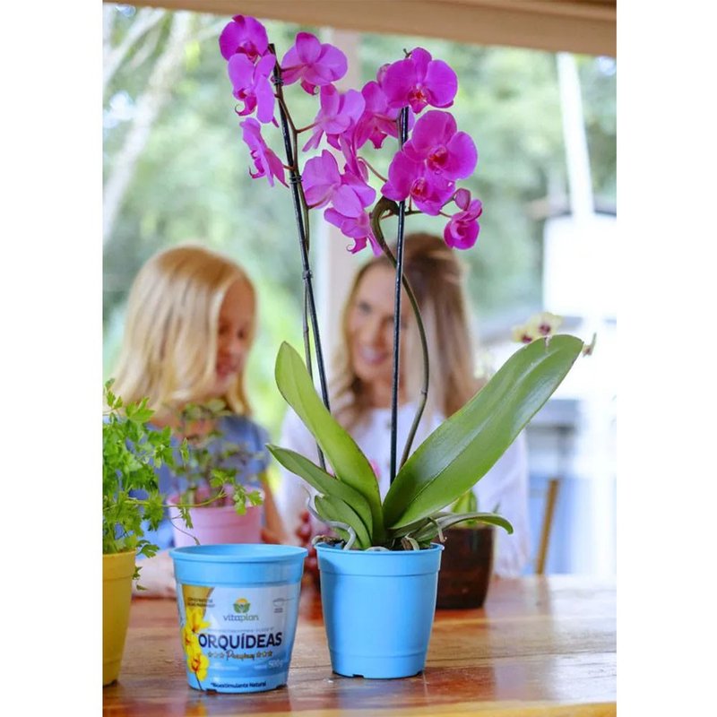 vaso aquarela vasos para plantar temperos bomcultivo azul