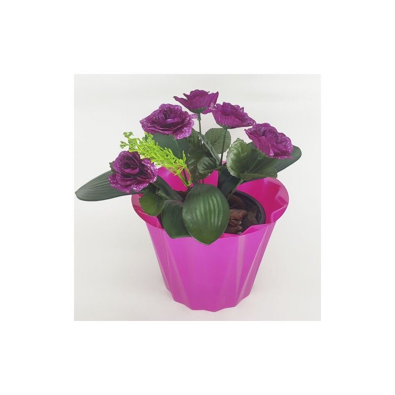 rosa 3