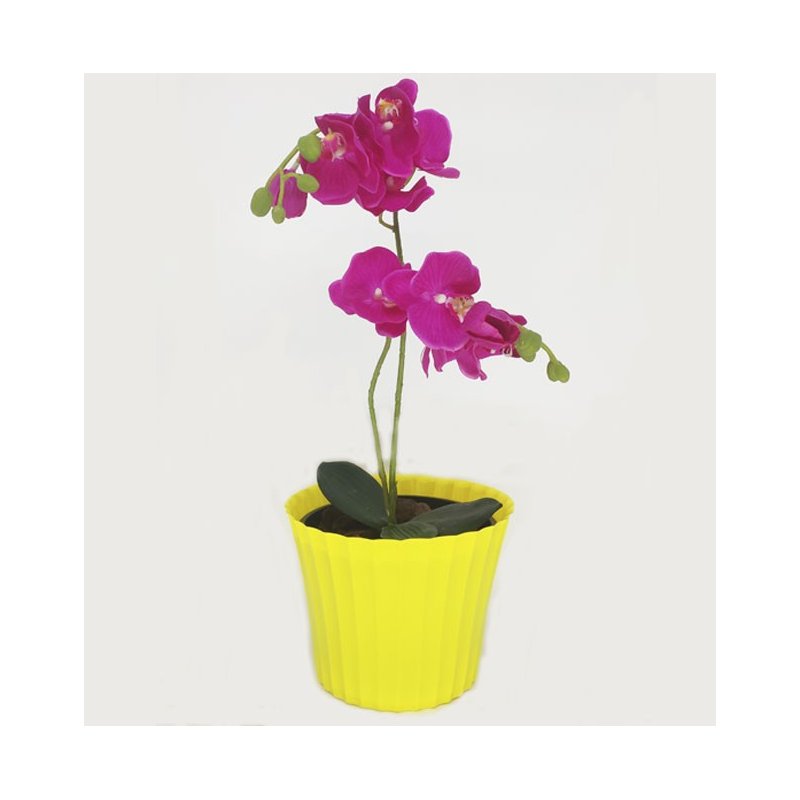 amarelo 1