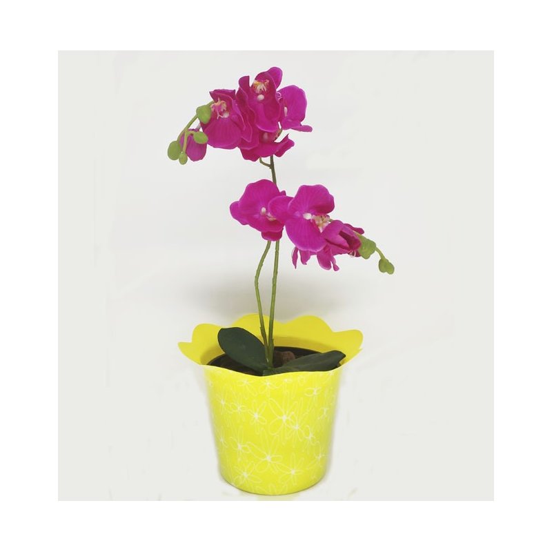 amarelo 2