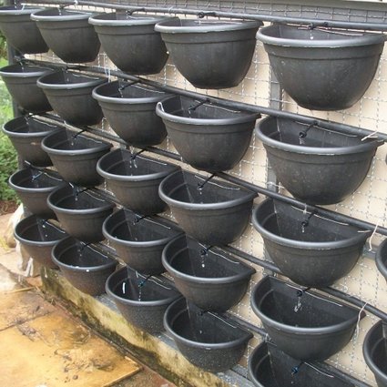 vaso de parede parede verde vaso meia lua bom cultivo