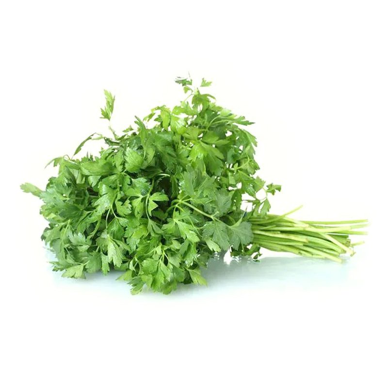salsa salsinha cebolinha tempero verde bom cultivo