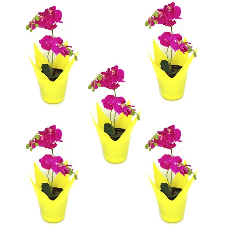 vaso flexivel cachepo vaso reciclavel vaso garrafa pet vaso importado bom cultivo