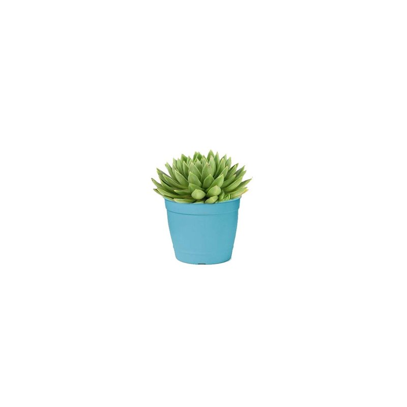 vaso aqualarela mini vaso pequeno vaso azul tifany vaso lilas pote mini pote para muda pote para plantas bom cultivo nutriplan