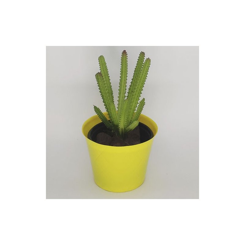amarelo 3
