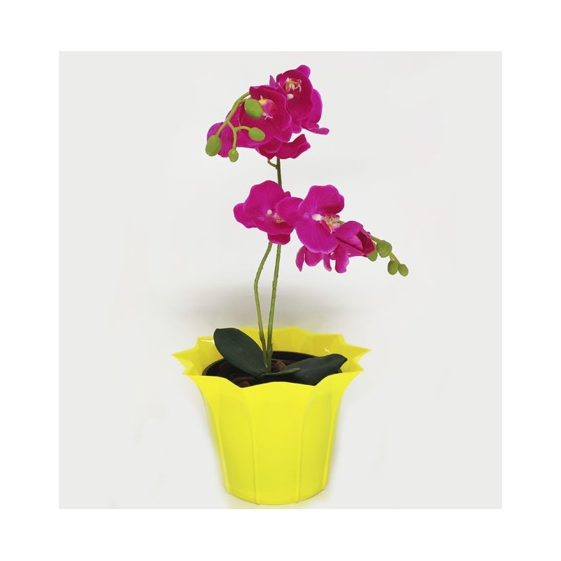 amarelo 3