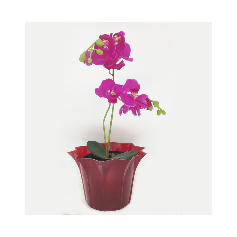 vermelho 1