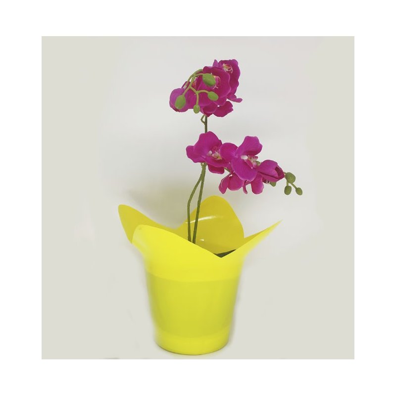 amarelo 2