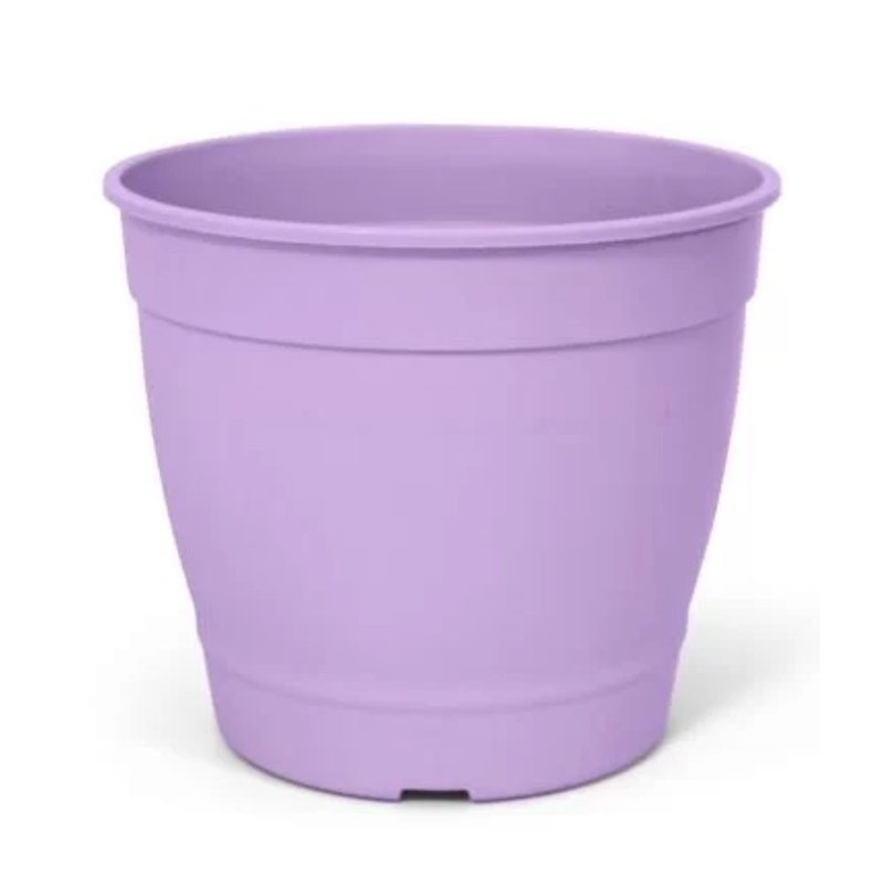 aquarela 4 5 lilas