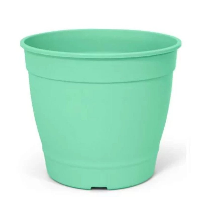 aquarela 4 5 verde