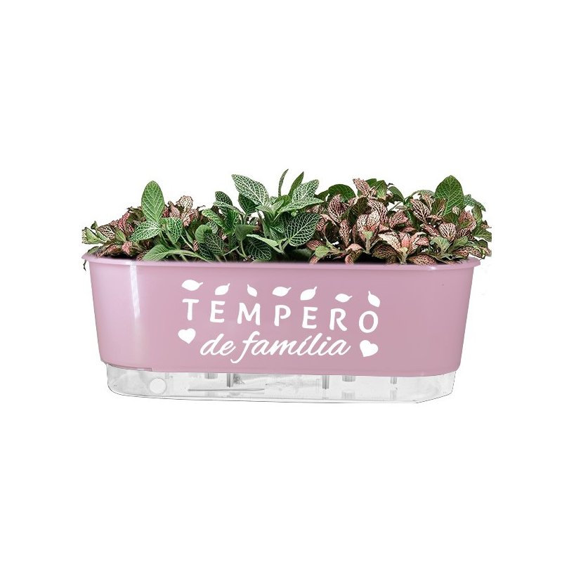 jardineira rosa tempero da familia br 2