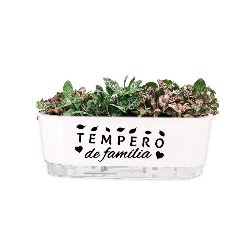 jardineira branca temperos da familia pr 2
