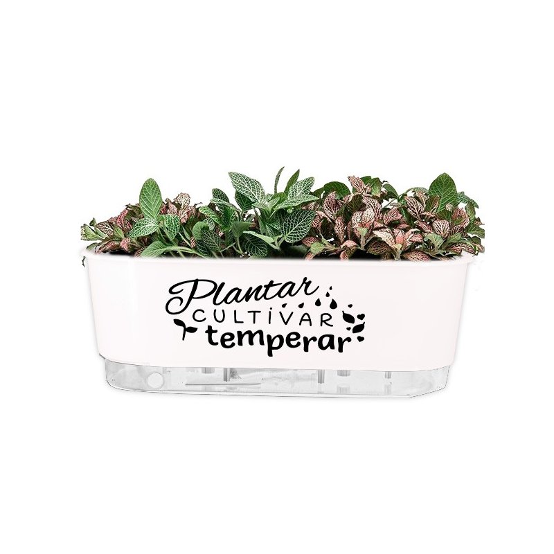 jardineira branco plantar cultivar temperar preto 2