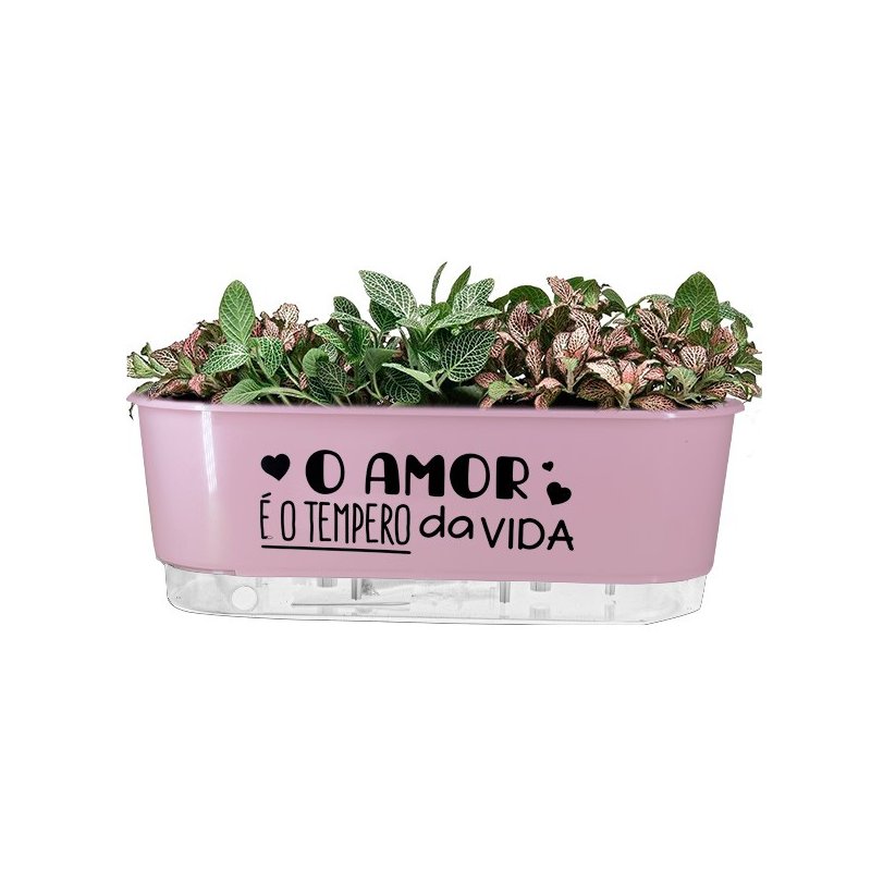 jardineira rosa o amor e o temperor pr 2