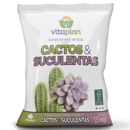 cactos e suculentas