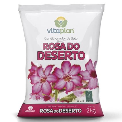 rosa do desert