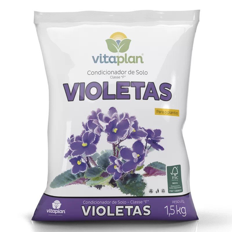 violetas